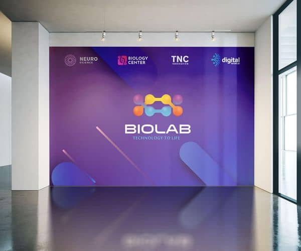 Low Tack Adhesive Vinyl - 2