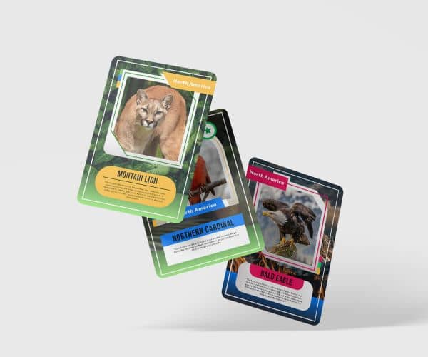 Custom Trading Card Printing - 4