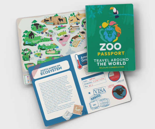 Pretend Play Passports